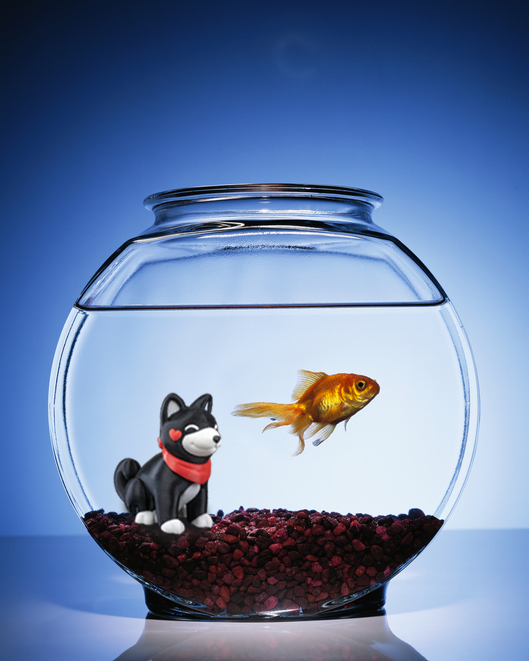 🐠Aquarium Decor: Friendly Dog🐠